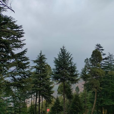 Готель The Alpine Vista Алмора Екстер'єр фото